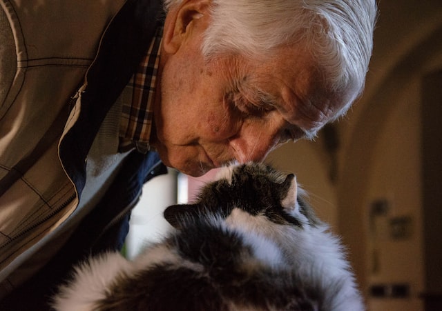 senior man playing with a black and white cat